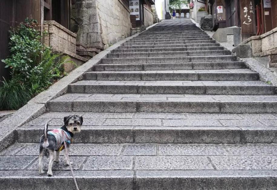 Hanakiya Kyoto Exteriör bild